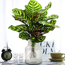 ˮ���ȸ���O������͏dˮ�B�����k���҃��ļ����B�^�~�G�j�}ֲ��