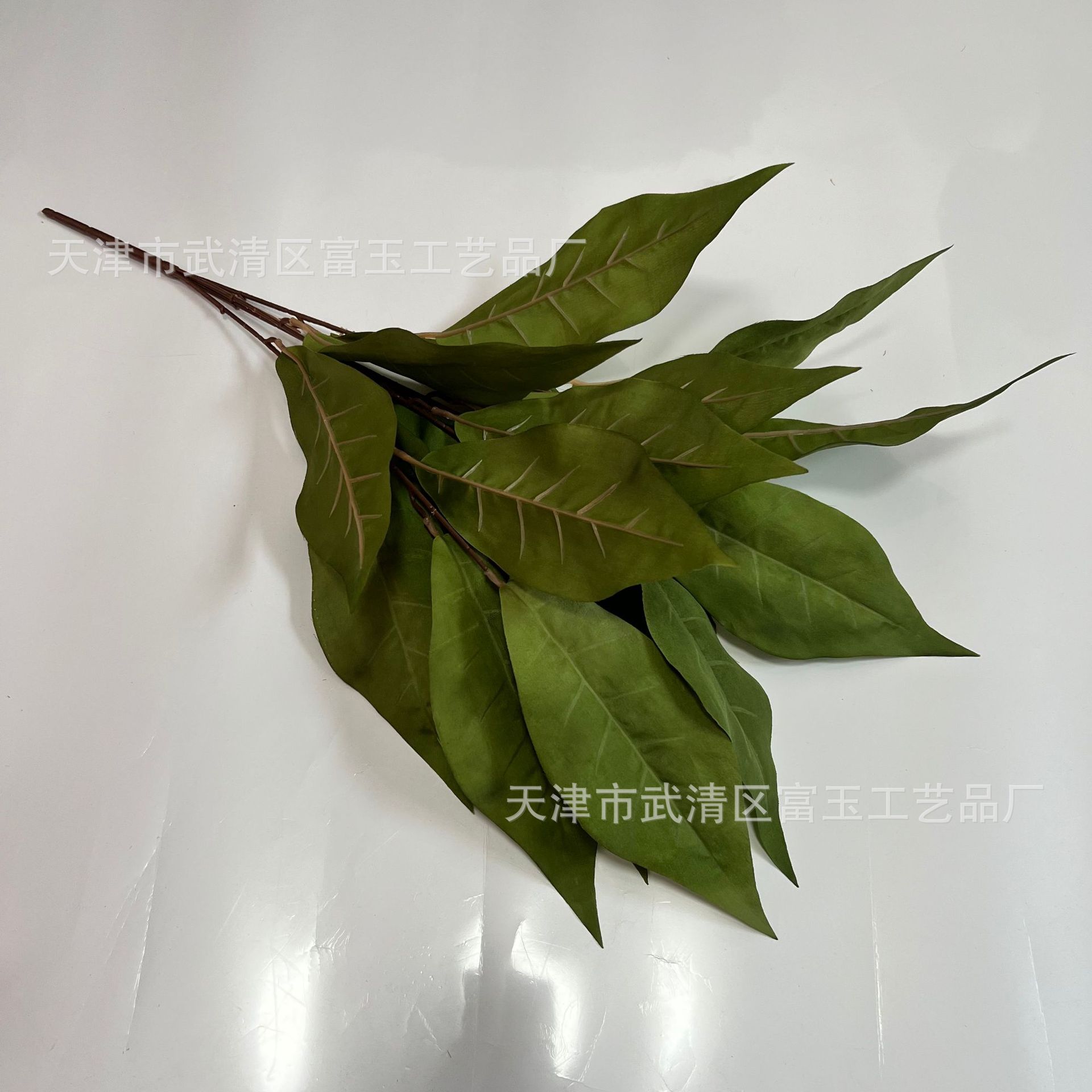 녹색