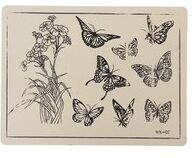 8816_QQ图片20190105164023