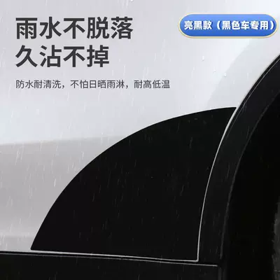 Car paint protective film | Tesla Door Triangle