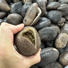 【乌海参】_乌海参品牌/图片/价格_乌海参批发_阿里巴巴