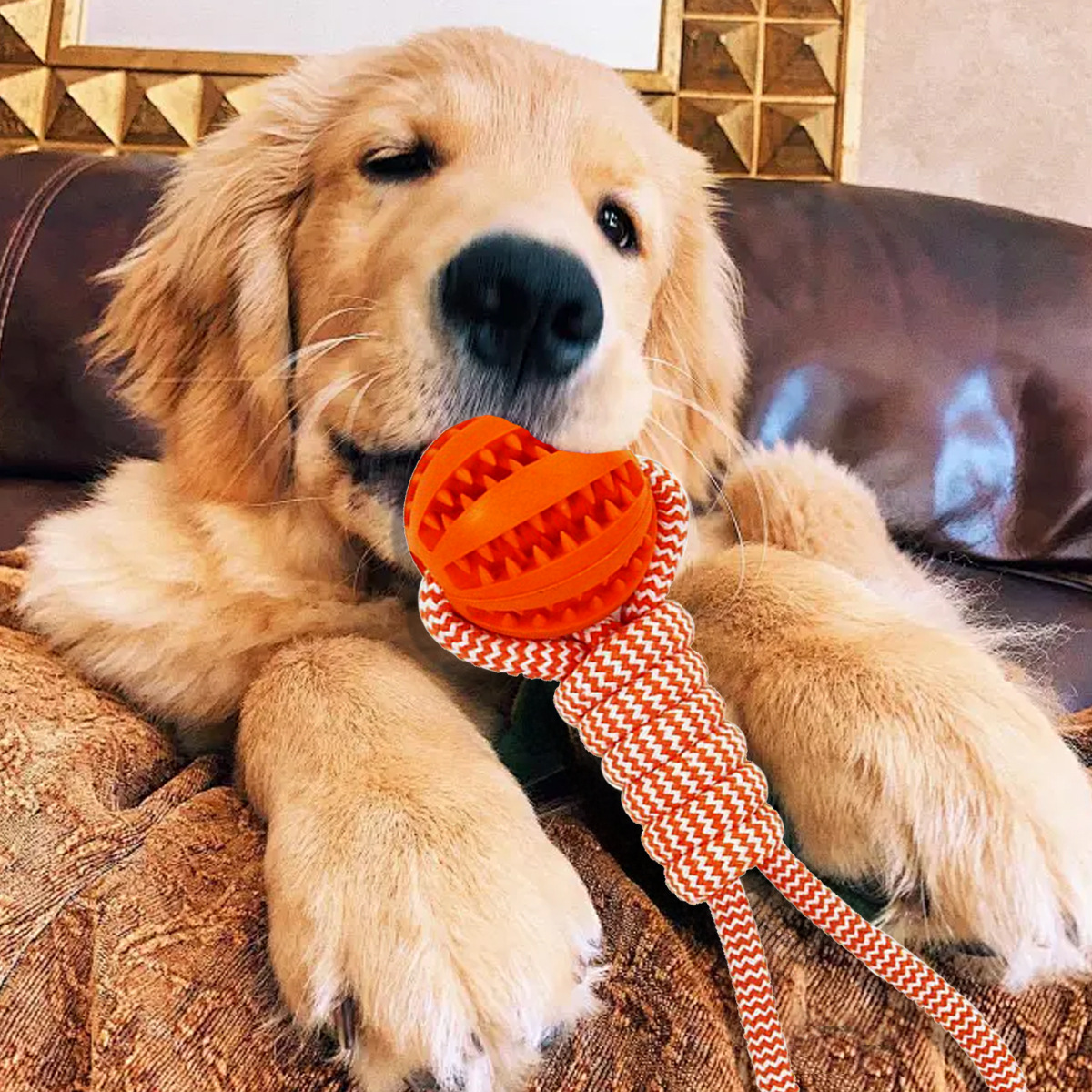 Gioco per cani anguria con corda da tiro e dispenser snack_voghion.com