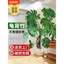 �Ϙ�������͏d�������҃���ؾGֲ����~������լ�k�����̨����