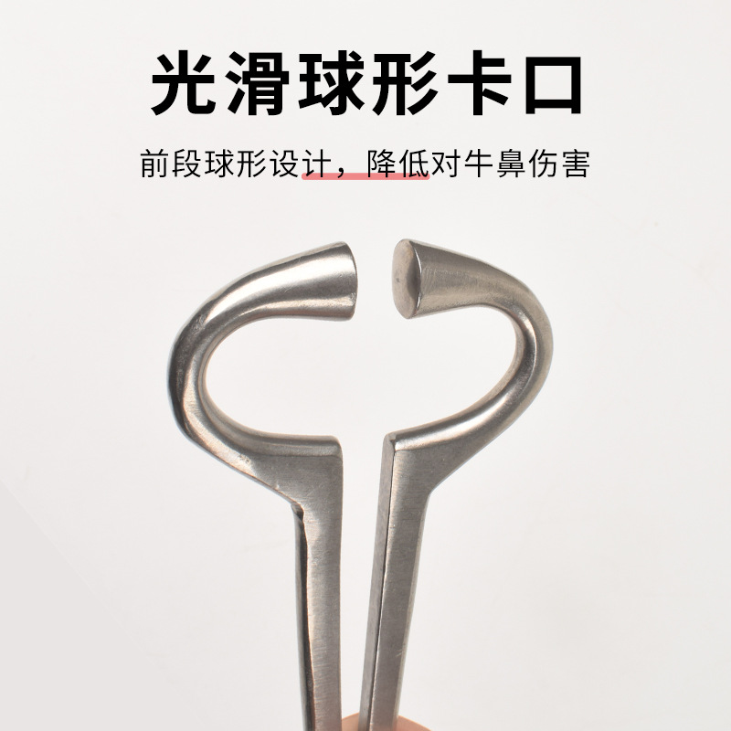 Exportación de pinzas de nariz de buey acero inoxidable buey anillo de nariz de buey anillo de nariz de buey montaje de pinza de pinza de buey abrazadera de buey suministros de buey