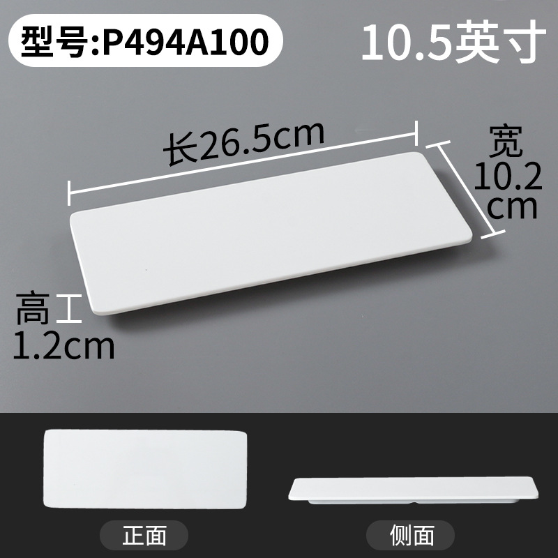 P494A100