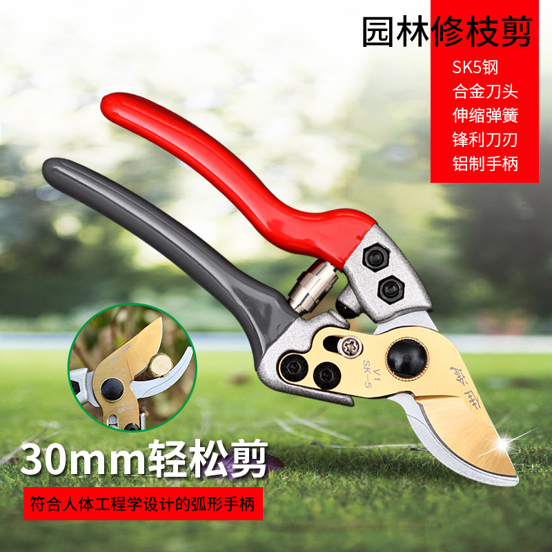 厂家加工园艺修枝剪粗枝剪 园林绿化果蔬花枝修理剪刀五金工具
