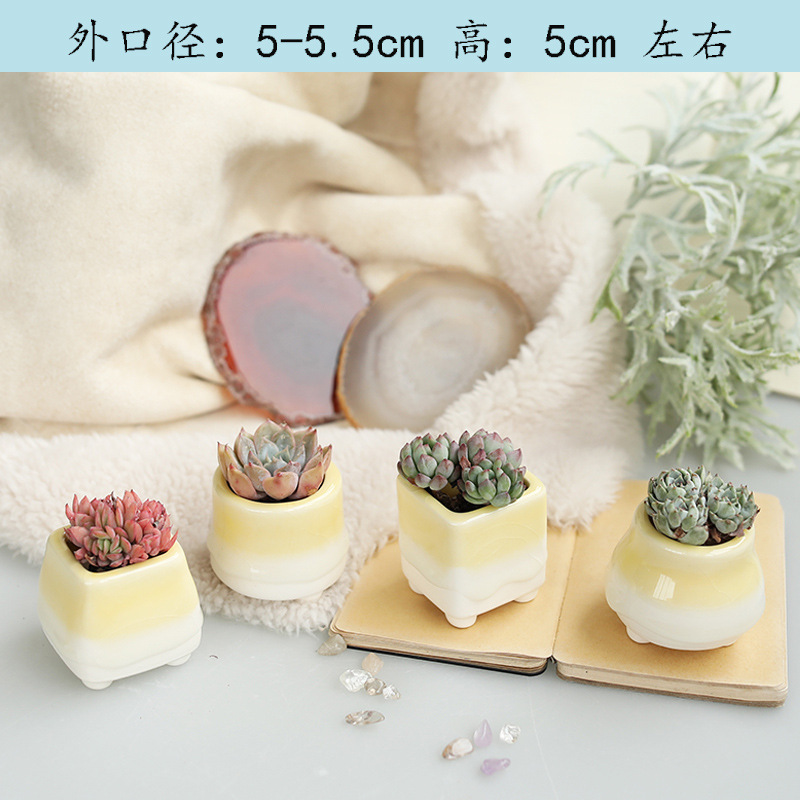 キャンディー色の多肉植木鉢虹創意流釉薬親指盆控養小盆室内個性ミニメーカー卸売り|undefined