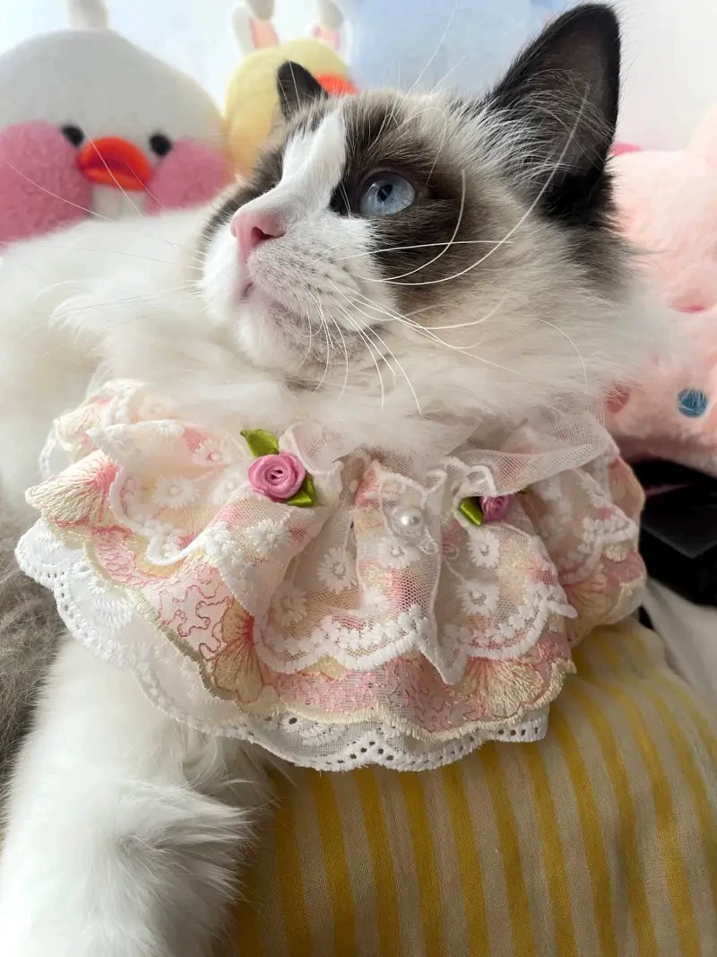 Scarf, eating bib, cute bow tie with bow, gold and silver