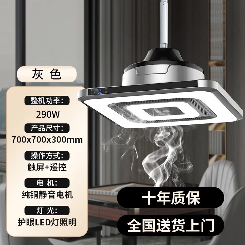 내부 순환--높은 구성 음소거-이중 조명--회색