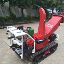 厂家直供果枝碎枝机自进料树木枝条打碎机园林树枝粉碎机器