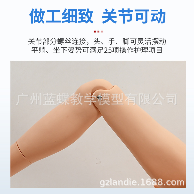 ҽѧģ����ģ�Ͷ๦�ܻ�������ģ�ػ�����ѵ������Ƥ�����ķθ���