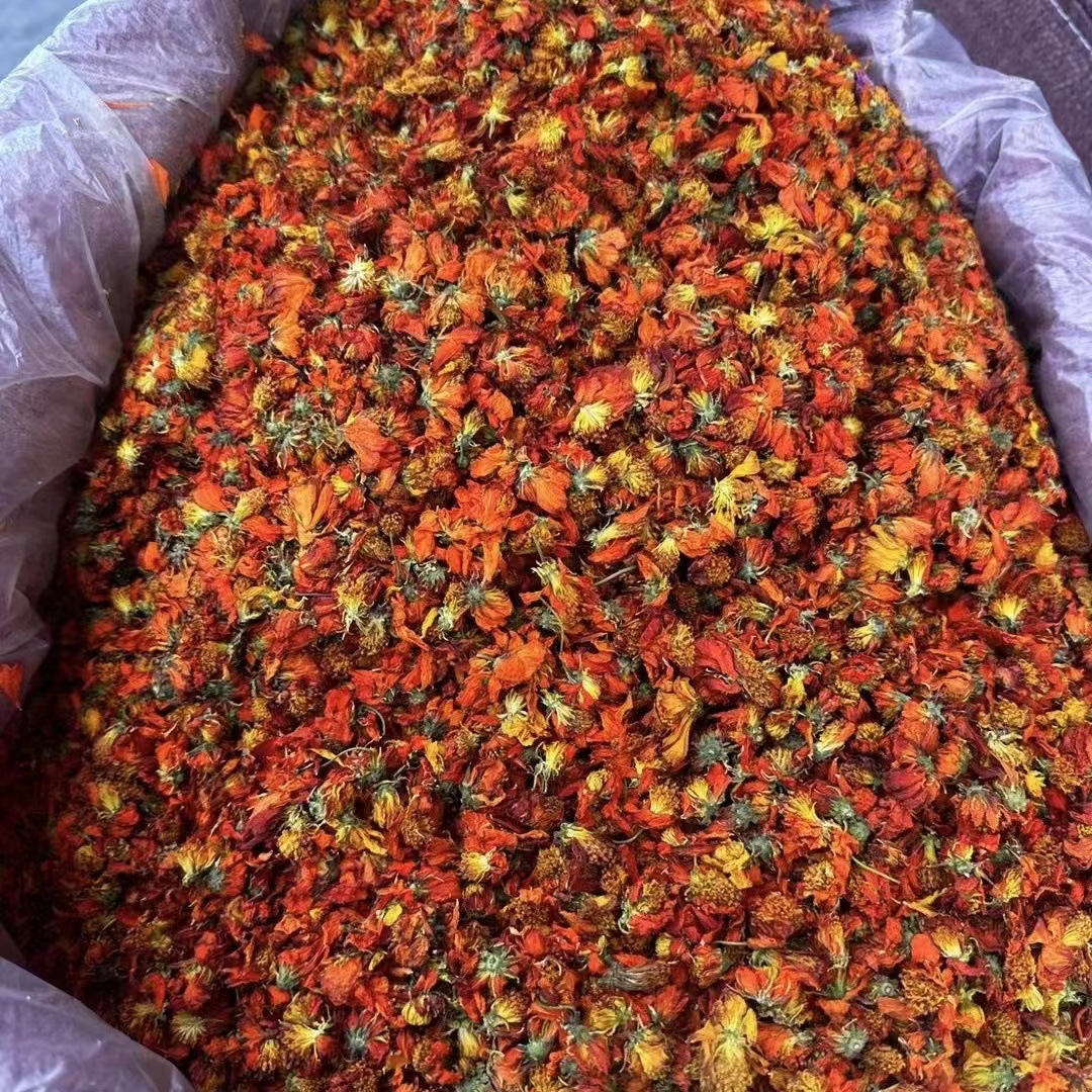 微信图片_20240805223938 - 副本