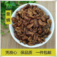 中药材 蚕蛹 小蜂儿晚蚕砂蚕蛹干僵蛹
