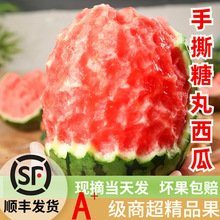 ��S�ք�ƤС����2KС�����������rˮ����Ƥ�t�������˺�������