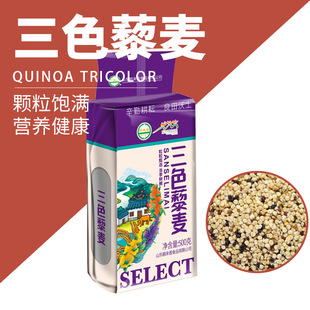 �����S����ɫ޼��500���ຣ��ԭ�خa���ӹ����l֧�ֶ����N��OEM