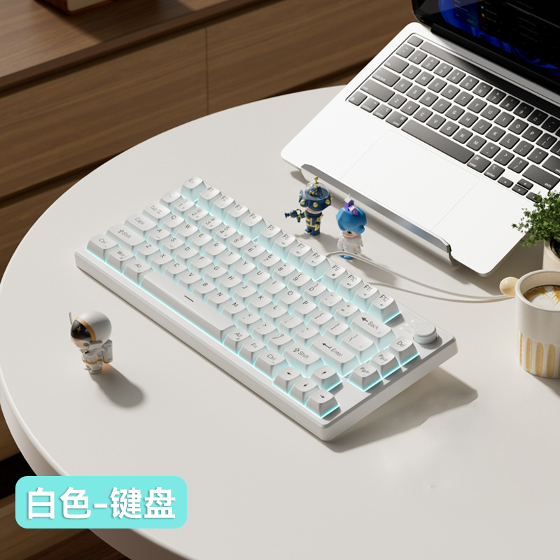 機械の手触りの女子学生の電気競争のキーボードは有線でタイプします。|undefined