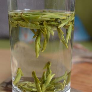 2026�����ţ�����S������^�ɸ�ɽ��F�����²��~��������1̖