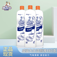 Mr.パワフル トイレ洗浄液 お手頃価格 トイレクリーナー 浴室水垢落とし 家庭用トイレ洗浄液 480g