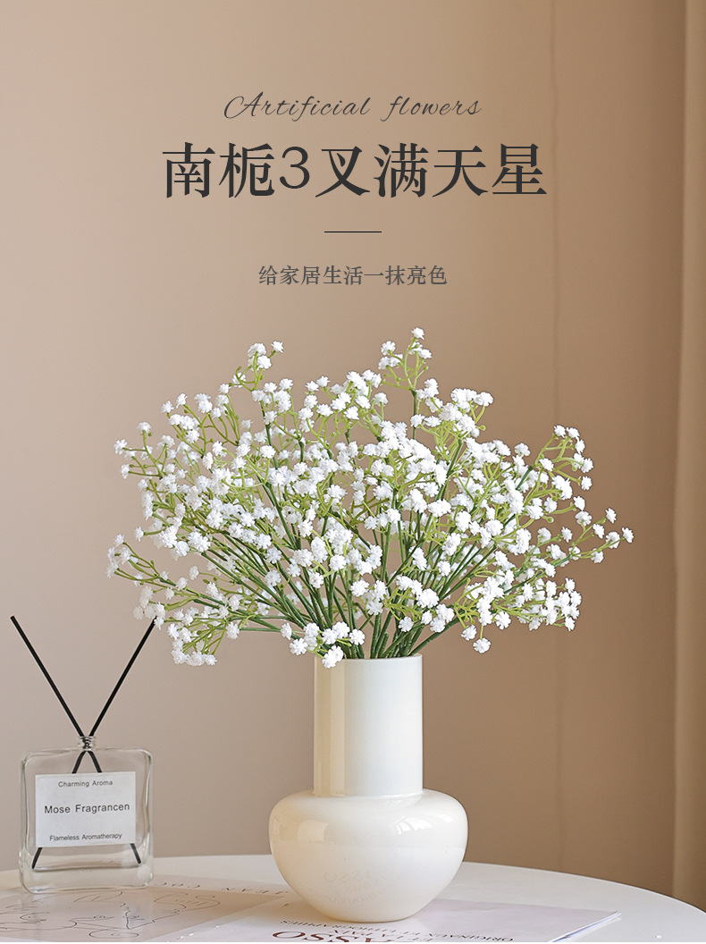 南栀3叉满天星_01.jpg