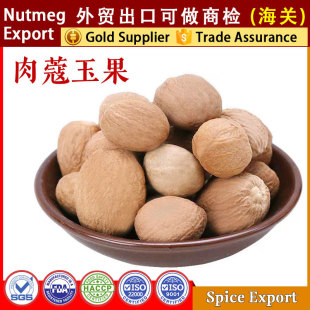 ��ޢ�ⶹޢ��������������u�˻���{�ϴ���������ϴ�ȫNutmeg