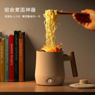 Electric Cup Health Pot Mini Small One Person Office Multifunctional Stew Cup Flower Tea Pot Health Pot Cross Border