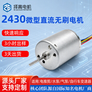 BL2430�oˢ늙Cˮ�Ú����Ƽ��R�_12V24V���ʟo�˙C΢��늙C