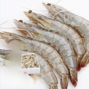 30/40���r�}���i�r���r��϶ࠖ�M��ԭ��ԭ���ό��r ��S