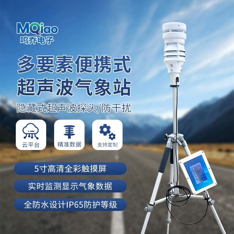 Портативная Метеостанция небольшая подвижная температура и влажность осадков аварийная дрель Метеорологический инструмент мониторинга сельскохозяйственный открытый
