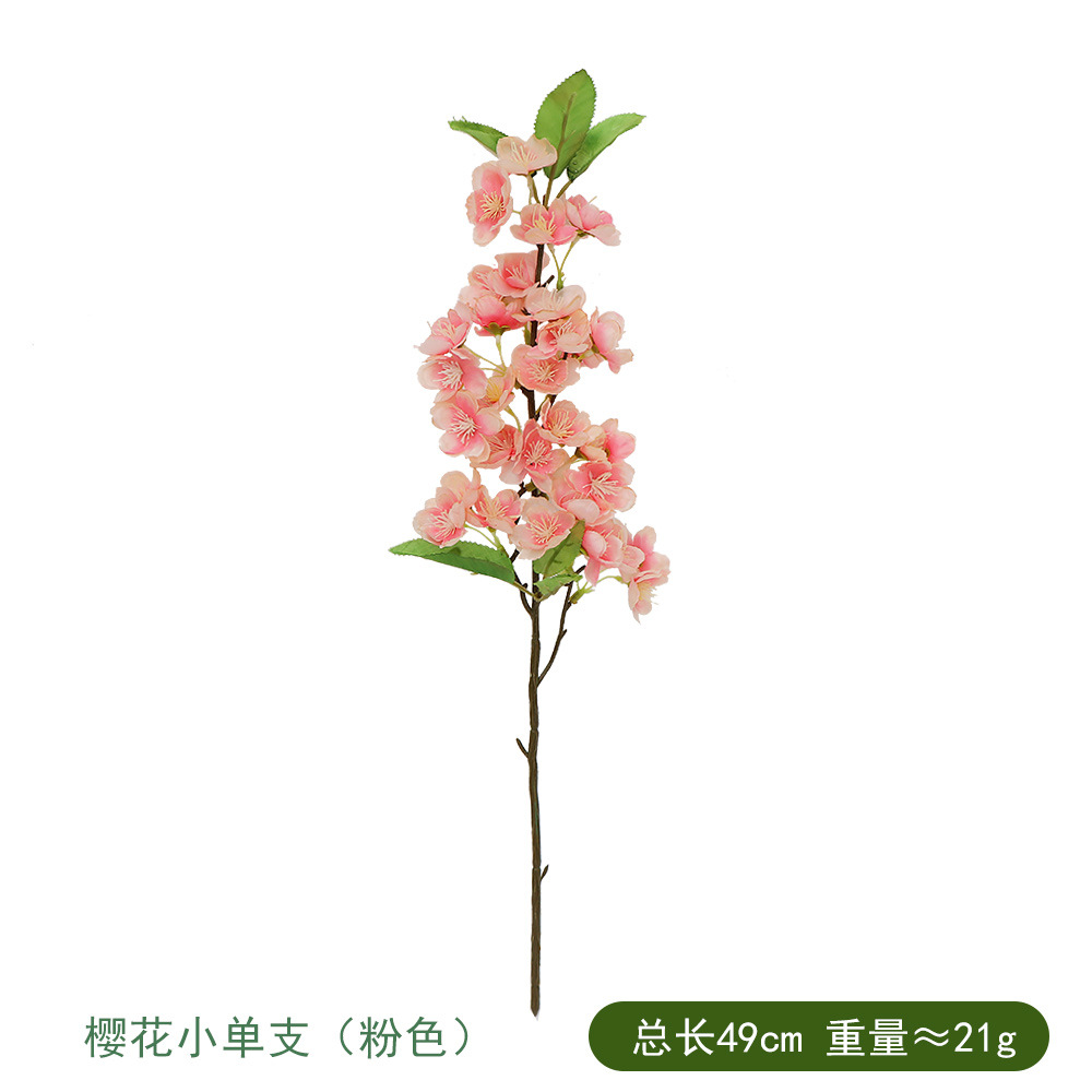 벚꽃 작은 단일 핑크