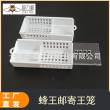 蜂王邮寄王笼 塑料全新保护蜂皇运输透明可视 工厂直发