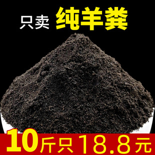 Sheep Manure, Chicken Manure, Fermented and Decomposed Organic Fertilizer, Flower, Fruit and Vegetable Granular Fertilizer, General Farmyard Fertilizer for Plants