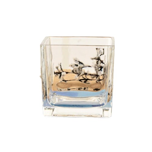 Micro landscape container decoration transparent square succulent flower pot glass hydroponic vessel square cylinder vase glass bottle
