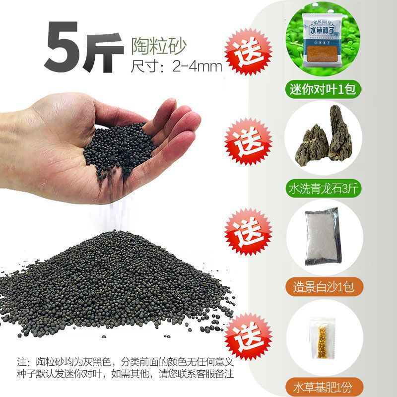 嘘援娉ユ壒鍙戙€愪笉舞枃丸瀀耣ャ€戦櫠绮掔戞枸shoulder a few搴琴爞更曟曟曘昘棌绠 argue