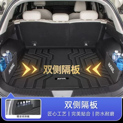 Song LDMi Trunk Mat 25: Trunk Mat - easy-storage-partitions-on-both-sides-model-24-25-song-l-dmi