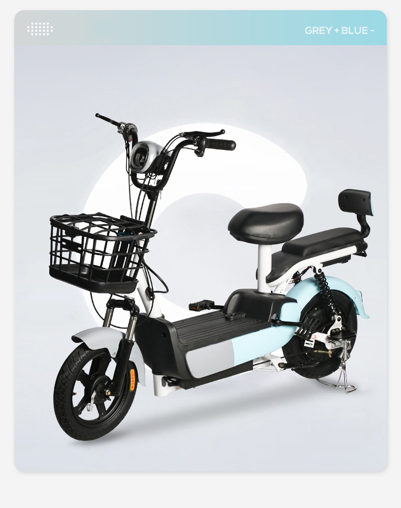 Custom Electric Bicycle, New National Standard, 48V 60V