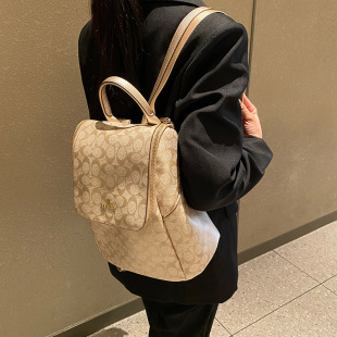 �羳���lС���p���ϻ��p�����2026�����¿�ͨ�ڕ����������l