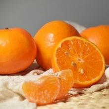 沃柑廣西雲南當季新鮮水果橘子耙沙糖新鮮薄皮10斤批發3天內發貨