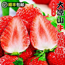 ���ɽţ�̲�ݮ���r�t�99��ݮ�����Fժ�ЋDˮ��¶������������]