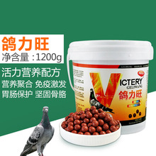 ���������r�������������Z�������L���a�w�l���Q��Nِ�����I�B��