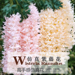 ���滨���ٶ����W�t��������L�����l�L�������ٻ�