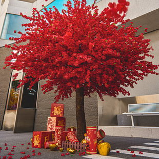 ���ܷ����һ���tɫ��ʽ���L�S�lؔ�t����٘䲼�������b�