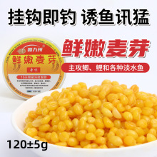 钓鱼甜嫩玉米粒鲜嫩麦芽鱼饵野钓秘制草鱼鲤鱼翘嘴水库专用鱼饵料