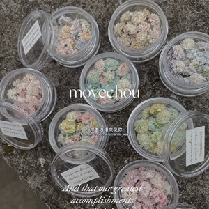 Japanese-style smint flower ball pile diamond nail art dried flower jewelry diy headdress earrings ring Time Gem series
