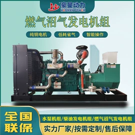 自吸泵;柴油发电机组;燃气发电机组