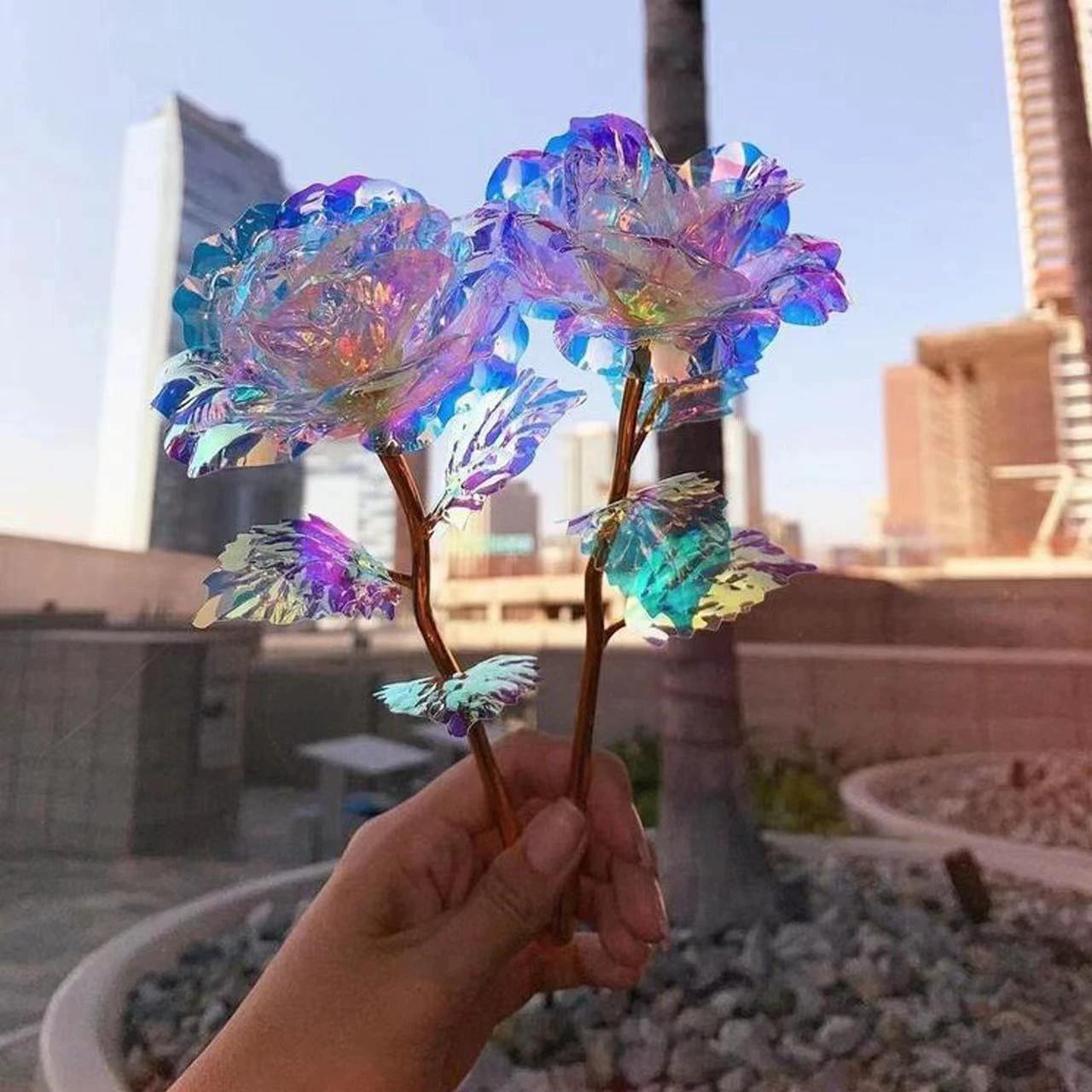 Cross -border simulation roses