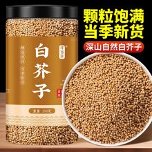 寻百草白芥子中药材500g野生白芥子粉芥菜子辣菜子白芥子辣菜子