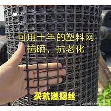 �B�u���ϾW����ھW�r�u�W�����Bֳ�W���o�W���ږřڑ���ˈ@����
