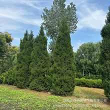 ؘ؂UP؈Aؙuɘuǧ^Ĺذ؈Aؘ