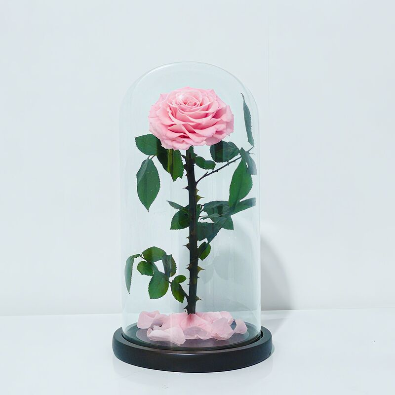 永生花玻璃罩大王子单朵玫瑰花七夕情人节女朋友生日礼物永生花|undefined