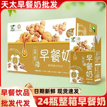 天太乳业高钙早餐奶24盒整箱核桃早餐奶过节送礼酒席饮品饮料批发